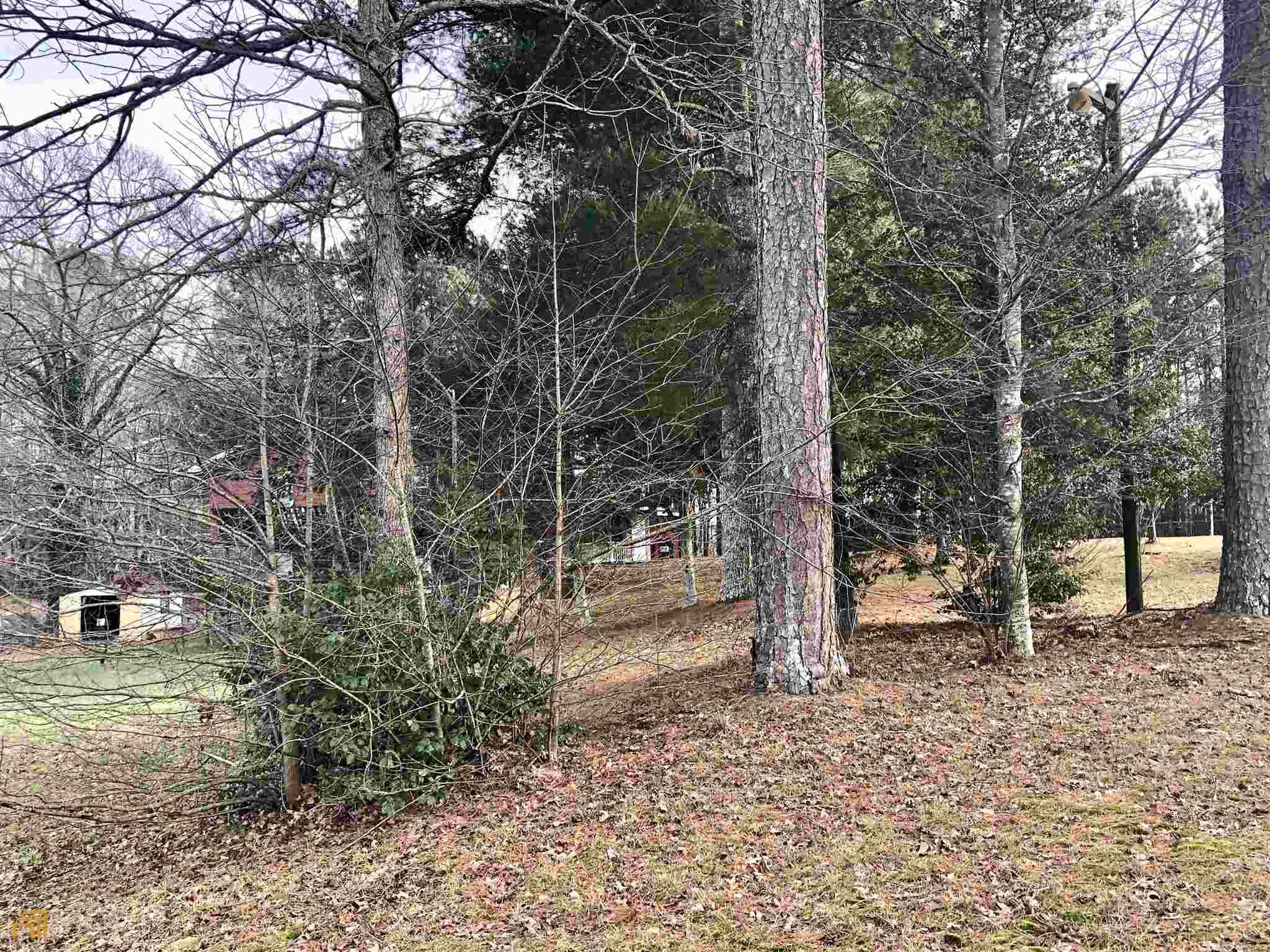 3750 Old Cleveland Road Cornelia, GA 30531 - Photo 5 of 9 a view of a forest filled with trees