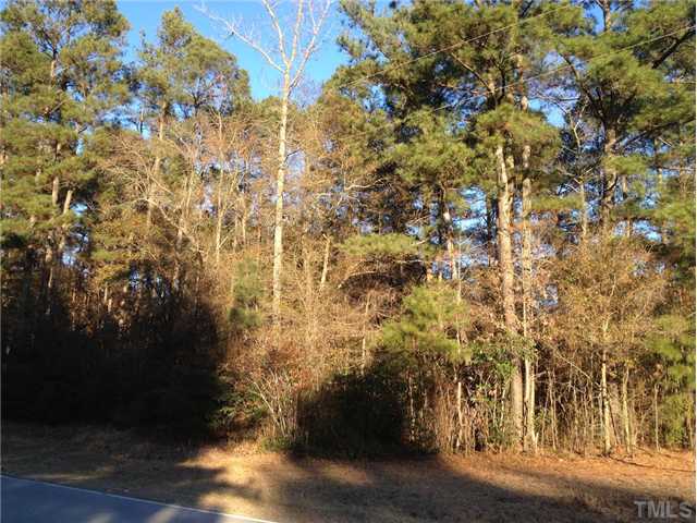 0 Golda Road Benson, NC 27504 - Photo 3 of 3 Gallery Image 3