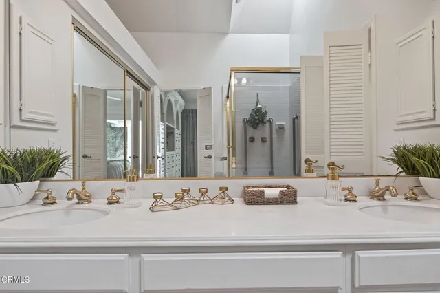a close view of sink with potted plant