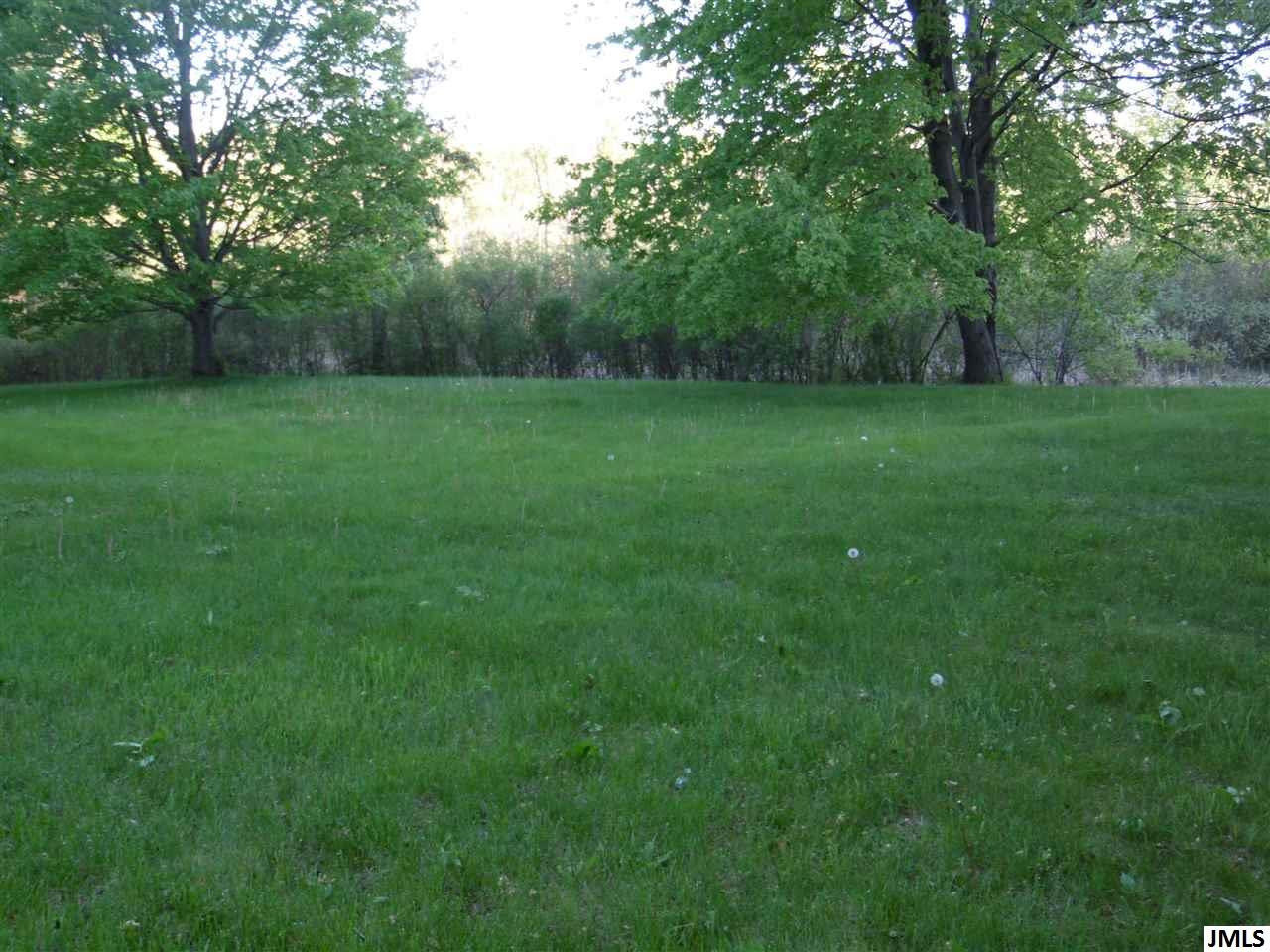 6395 Pepper Tree Lane Jackson, MI 49201 - Photo 3 of 4 Photo 3