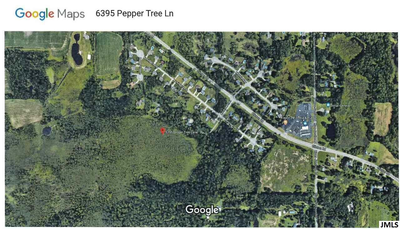 6395 Pepper Tree Lane Jackson, MI 49201 - Photo 4 of 4 Photo 4