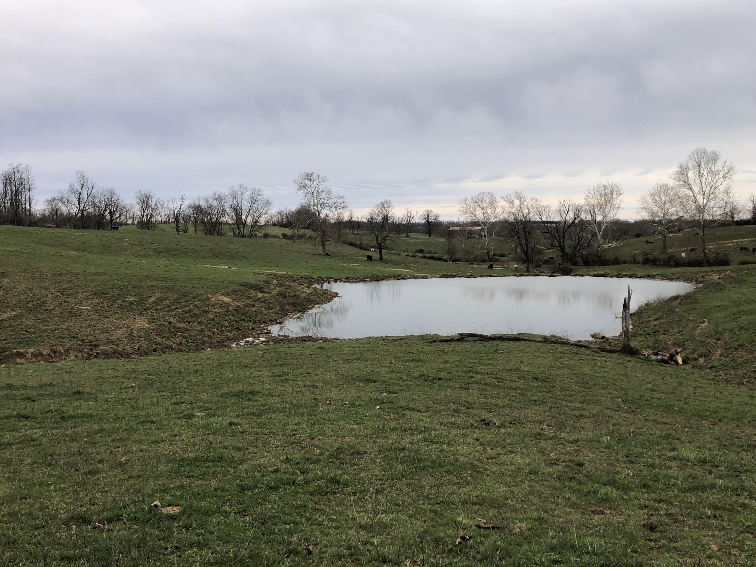 289 Lake Road Paris, KY 40361 - Photo 1 of 19 IMG_3388