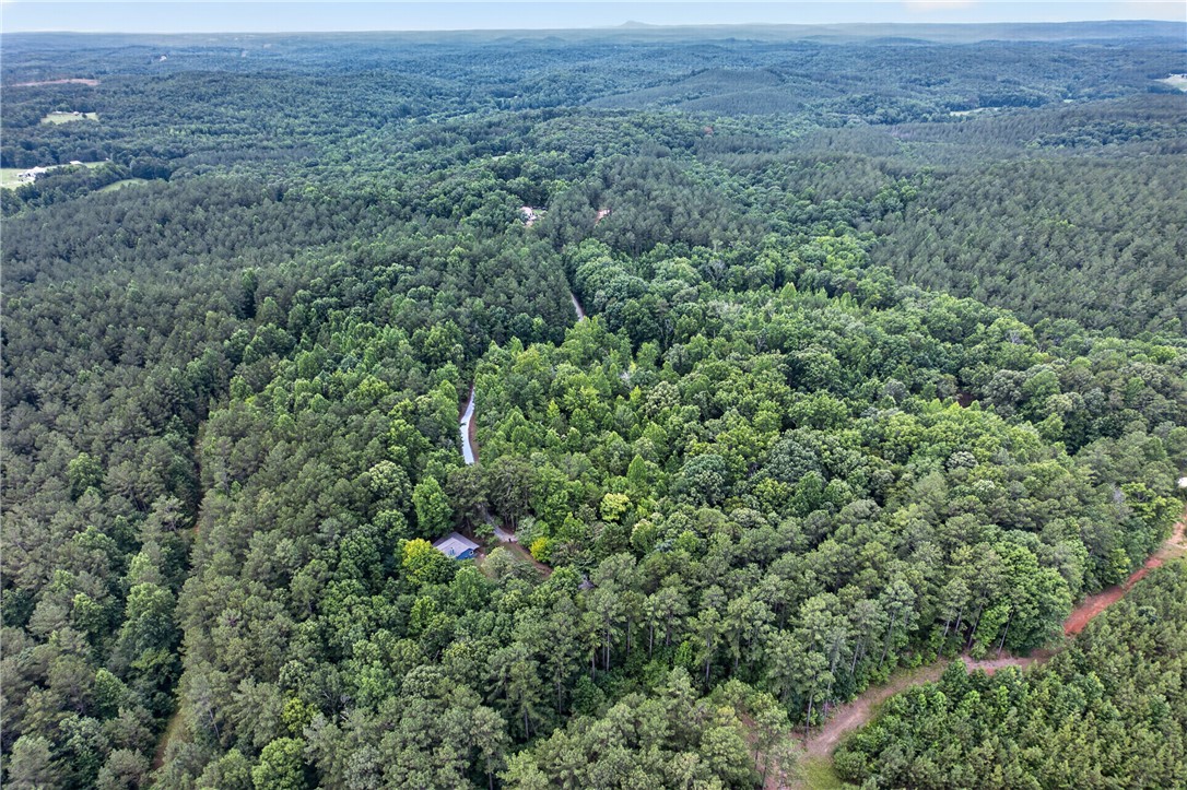 130 Maggie Rufus Lane Westminster, SC 29693 - Photo 49 of 50 Vast forested acreage with a secluded residence, offering unparalleled privacy and natural beauty.
