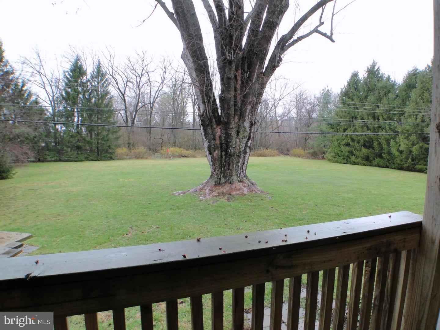 1176 West Valley Road Wayne, PA 19087 - Photo 21 of 25 Back Yard