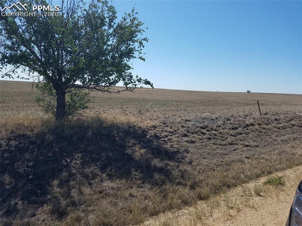 Tbd Johnson Road Rush, CO 80833 - Photo 4 of 5