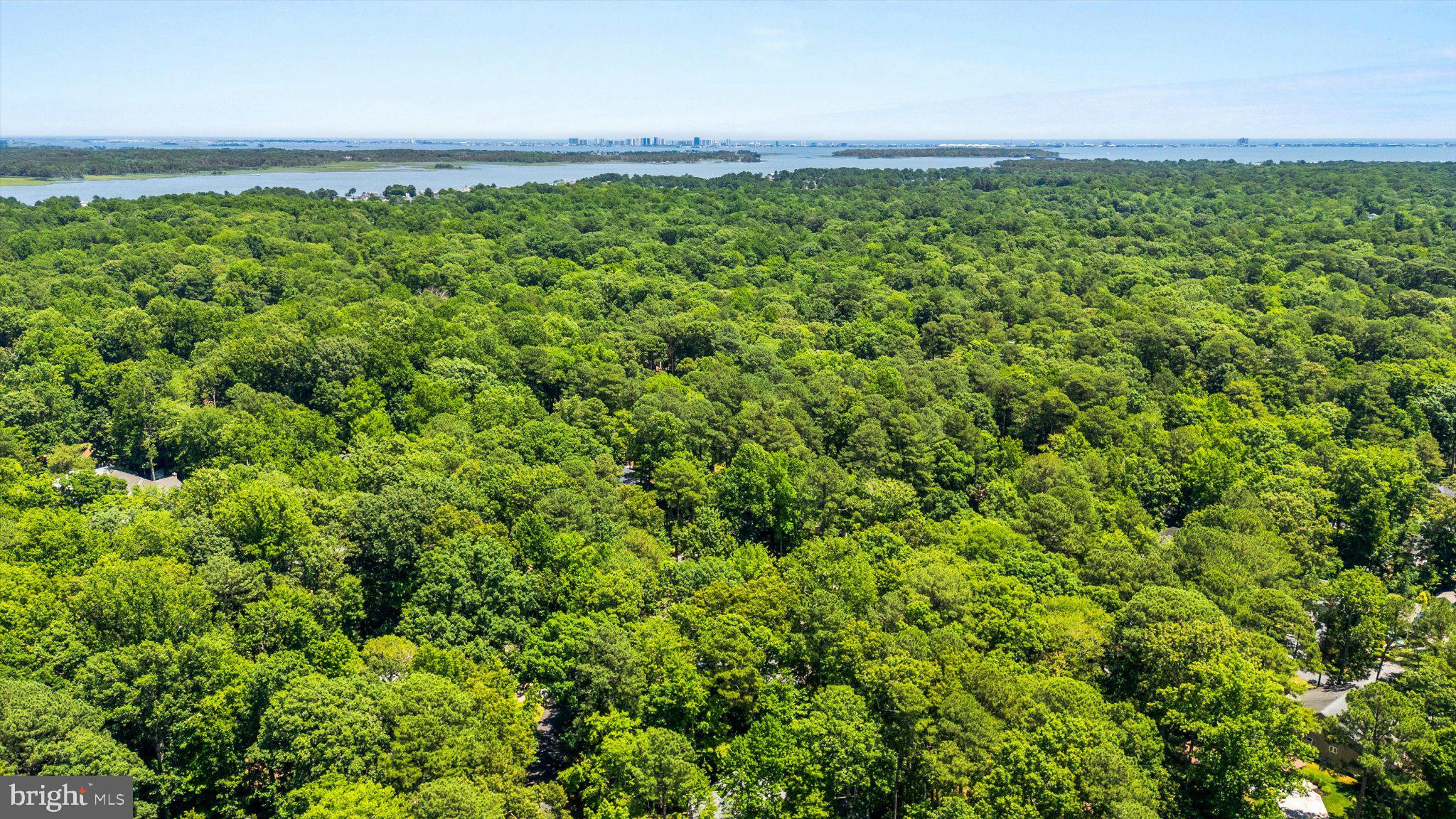 12 Moonraker Road Ocean Pines, MD 21811 - Photo 17 of 17 Lush green canopy meets tranquil waters.
