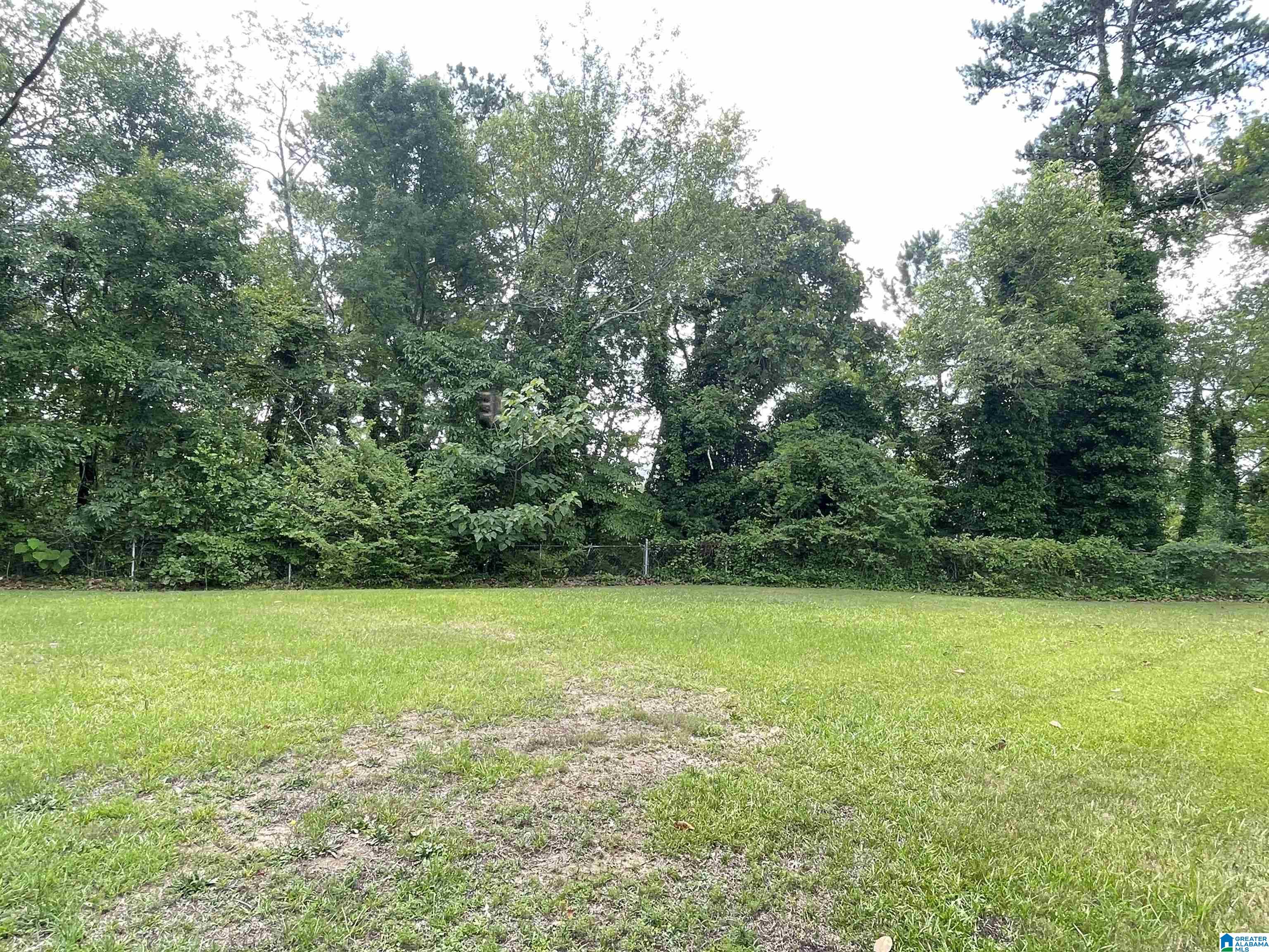 1205 Vine Street Anniston, AL 36207 - Photo 36 of 40