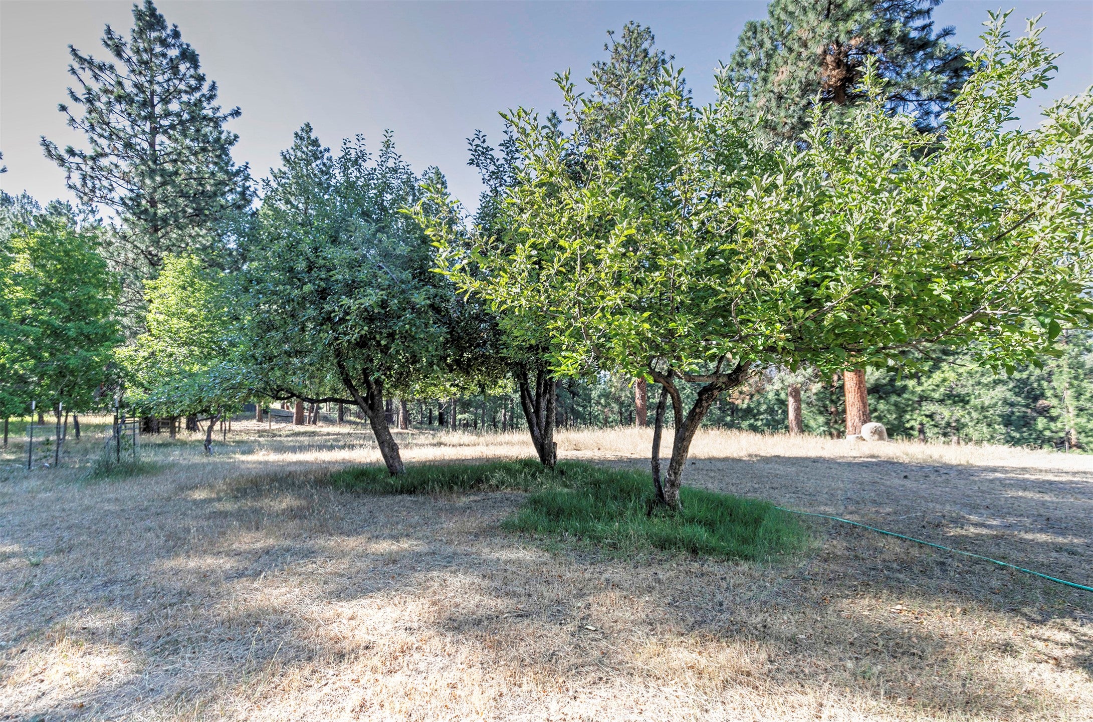 821 Fred Burr Road Victor, MT 59875 - Photo 33 of 65 Gallery Image 33