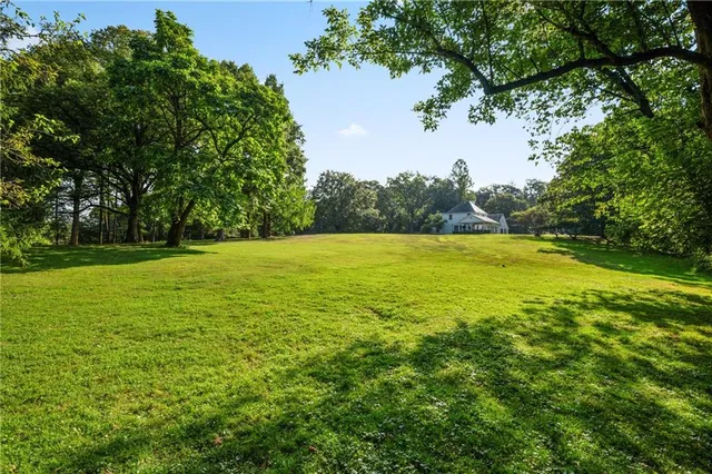 a view of a green field with a tree