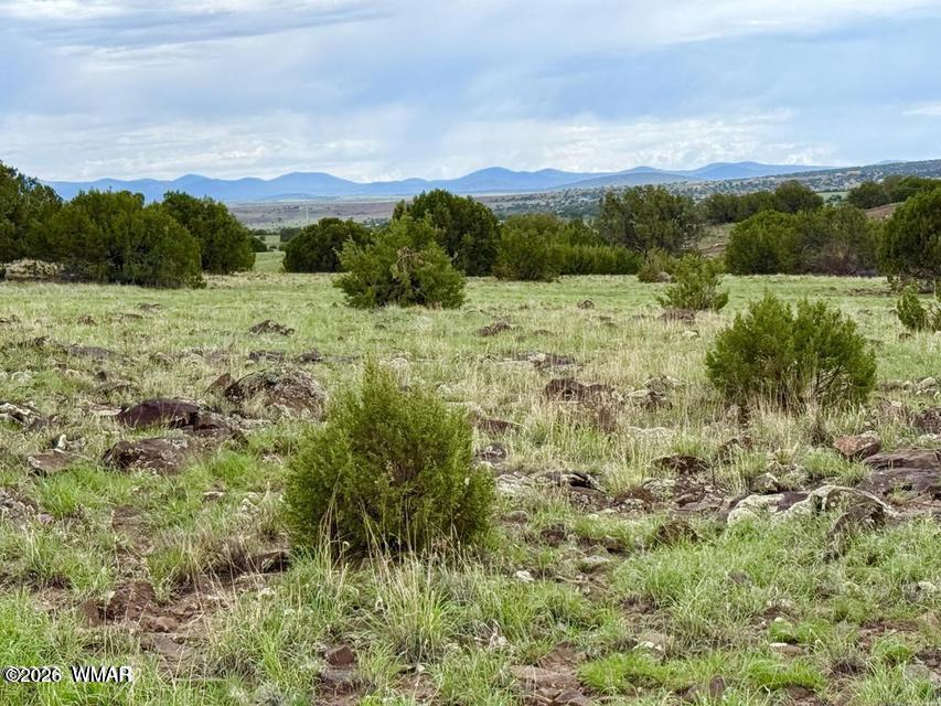 83 County Road Concho, AZ 85924 - Photo 10 of 16 Gallery Image 10