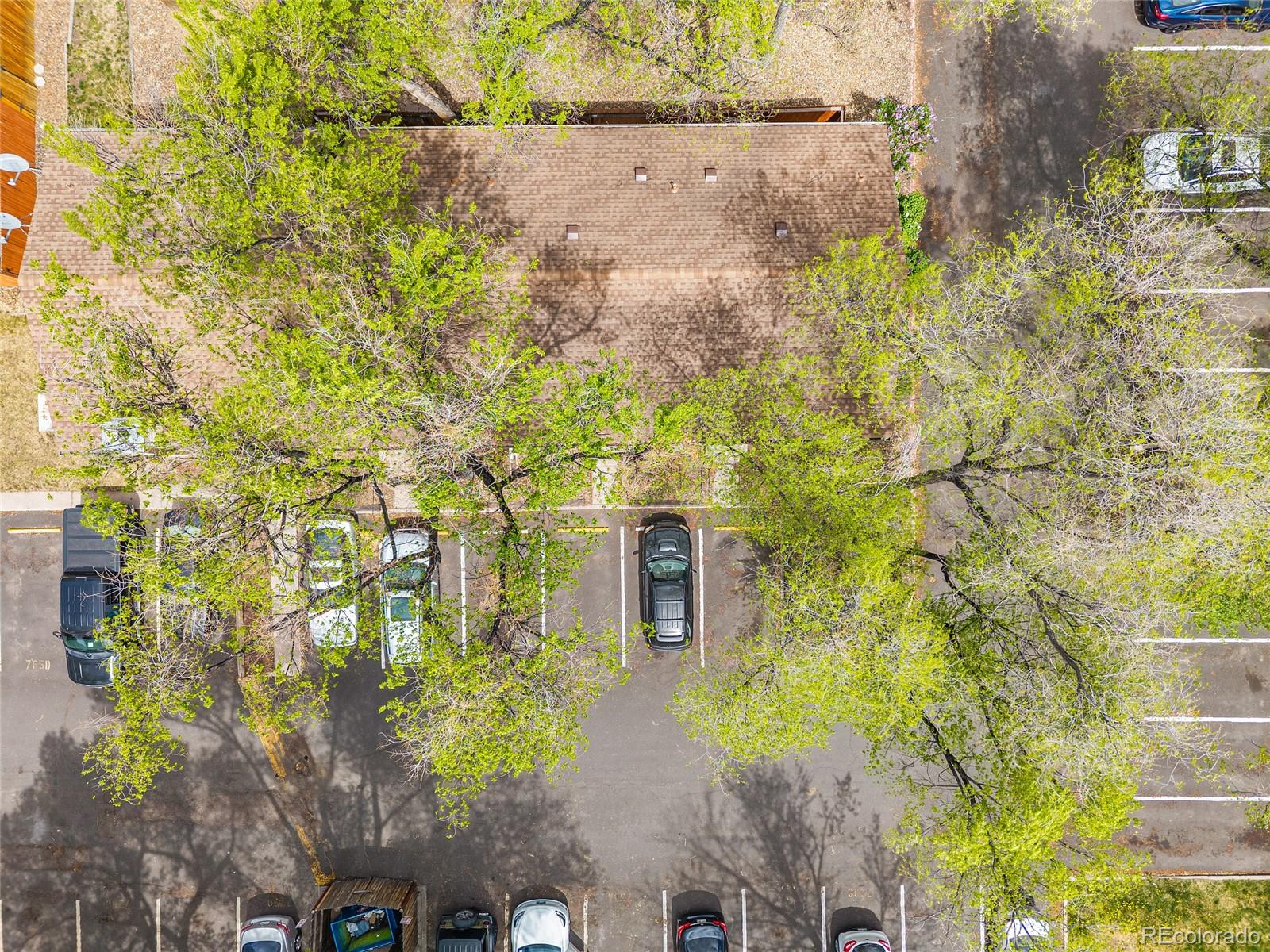 749 Alexander Road, Unit C Colorado Springs, CO 80909 - Photo 26 of 29