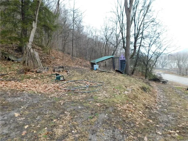 a view of backyard with green space