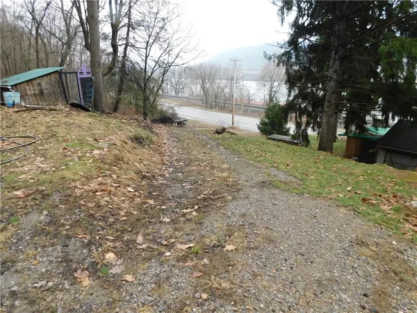 a backyard of a house with large trees and covered with snow