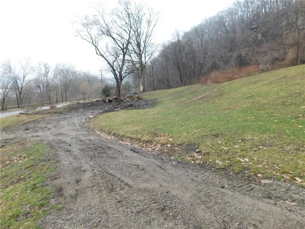 a view of a backyard with large trees