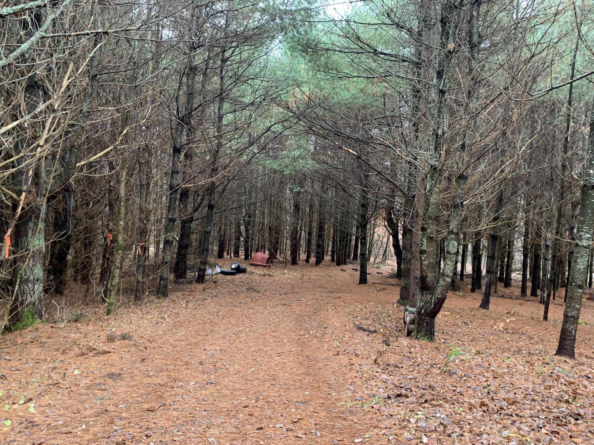 Lot 4 Mainstream Road Harmony, ME 04942 - Photo 24 of 25 24