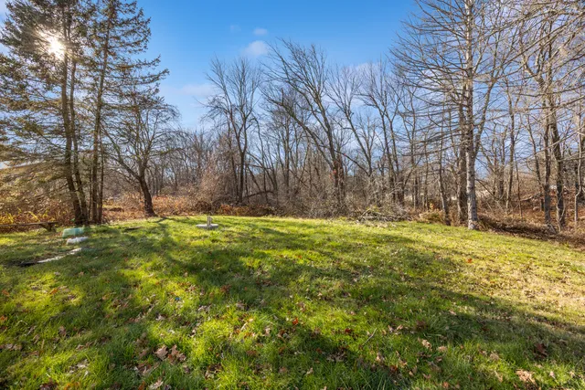 a view of yard with tree