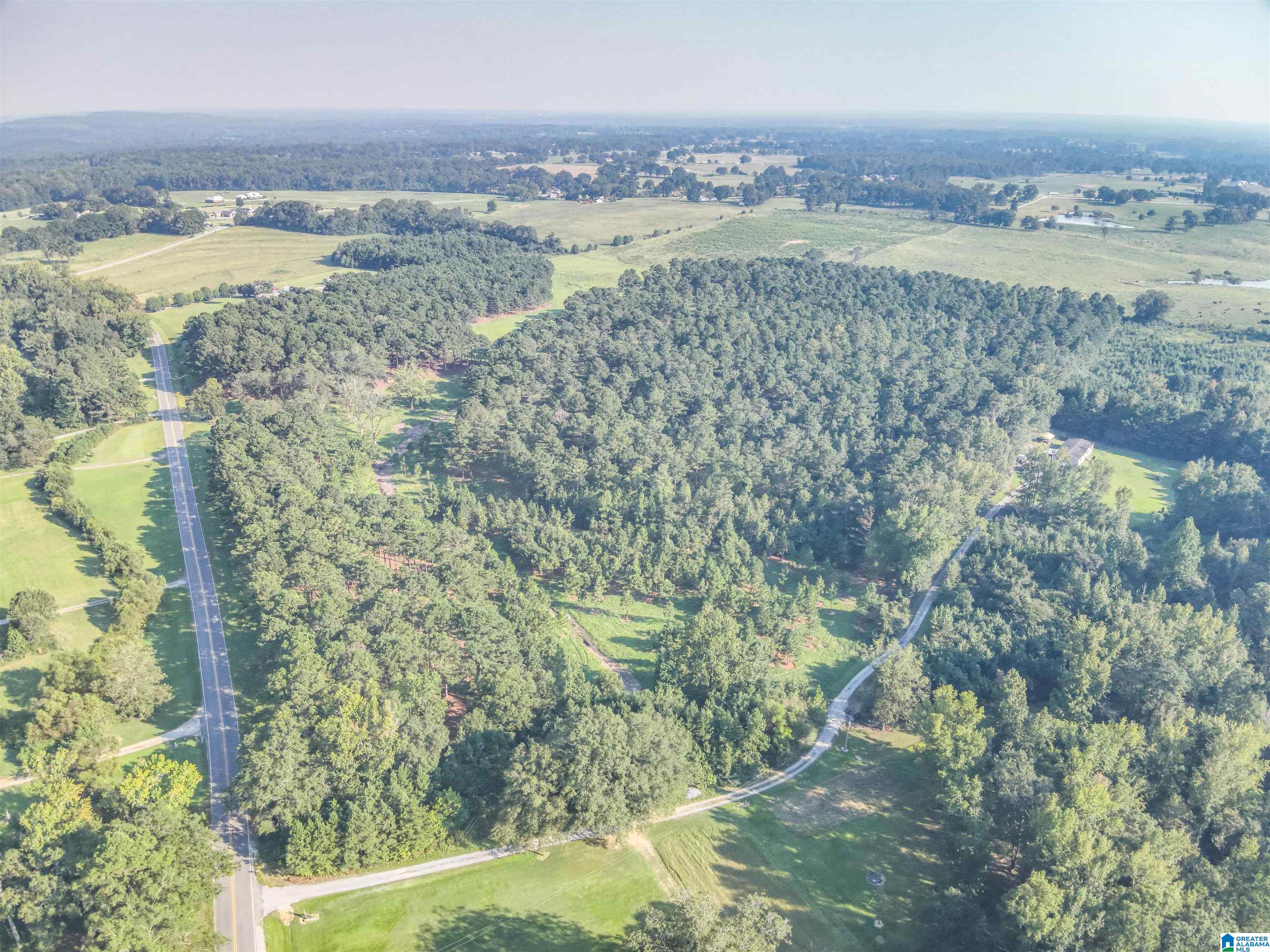 0 County Road 48, Unit 1 Jemison, AL 35085 - Photo 17 of 24