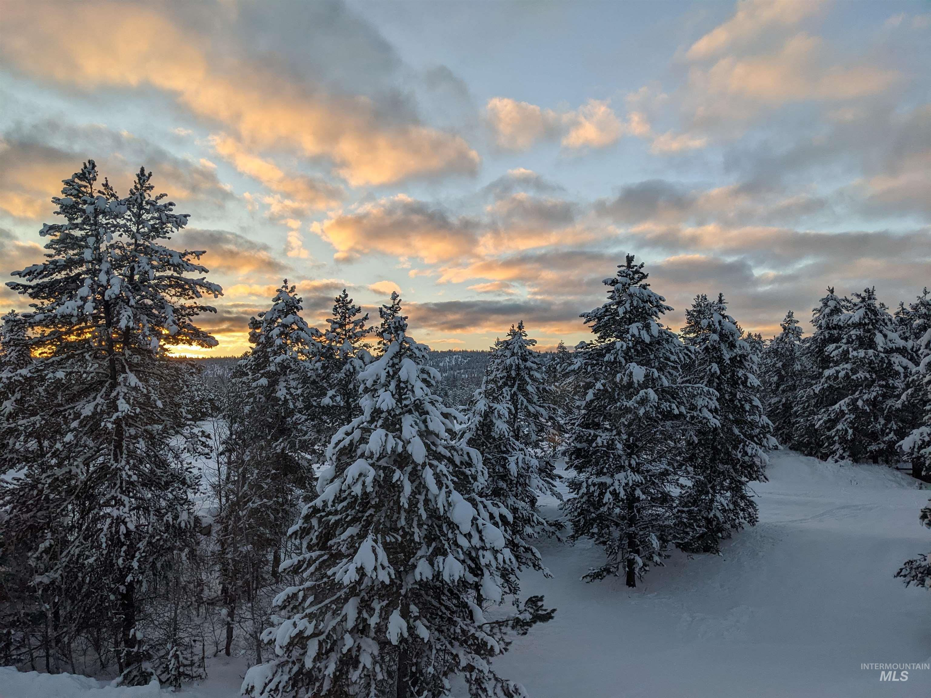 311 Broken Ridge Way McCall, ID 83638 - Photo 28 of 44 Scenic landscape featuring a blanket of snow covering numerous evergreen trees