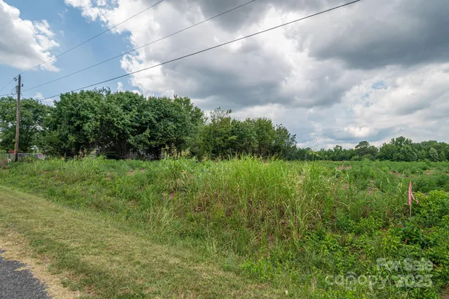 a view of a garden from a building