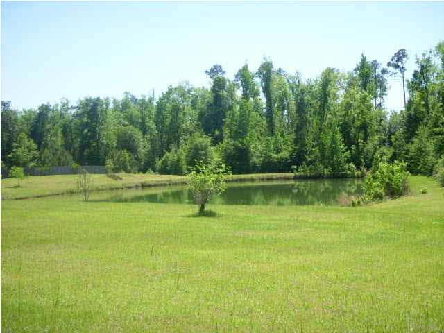 740 Freedom Road Century, FL 32535 - Photo 3 of 19 VIEW OF POND