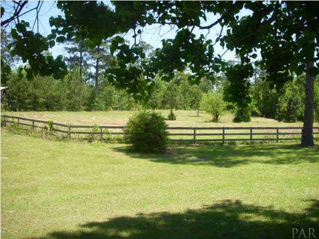 740 Freedom Road Century, FL 32535 - Photo 5 of 19 VIEW OF PASTURE