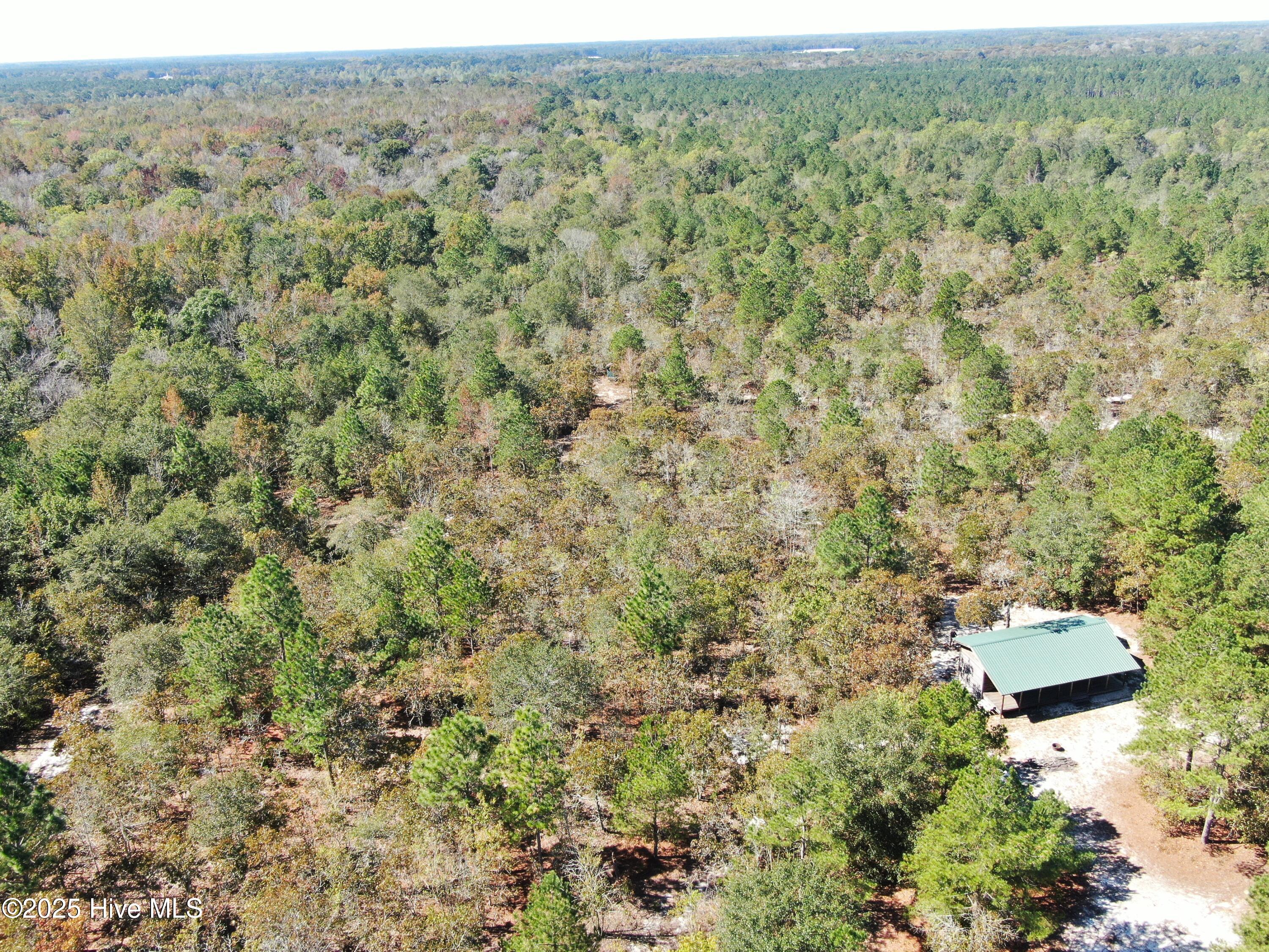 Off Hayne Stretch Road Autryville, NC 28318 - Photo 1 of 38 Aerial