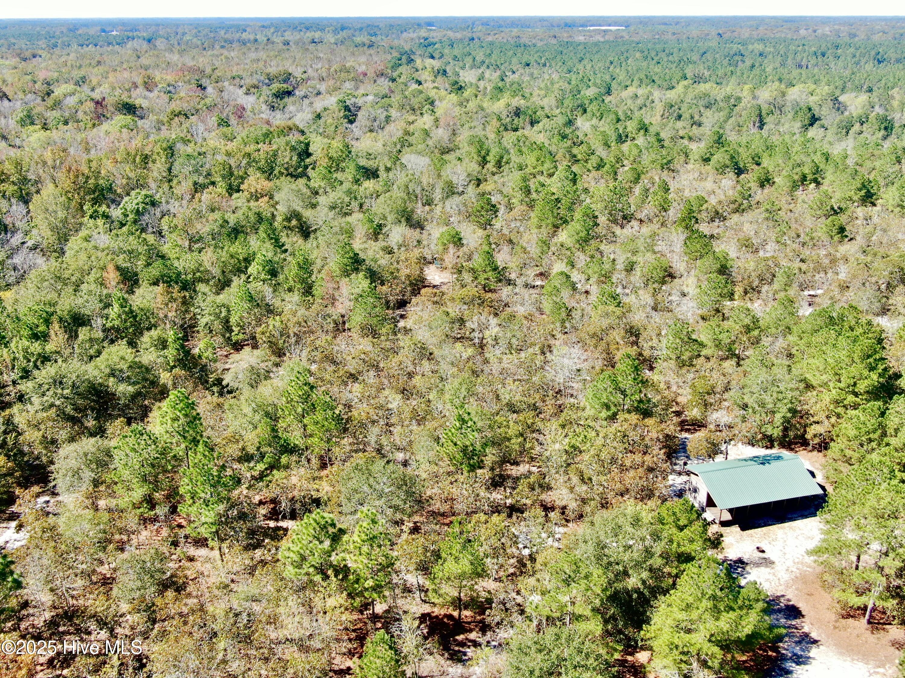 Off Hayne Stretch Road Autryville, NC 28318 - Photo 2 of 38 AOENE5589