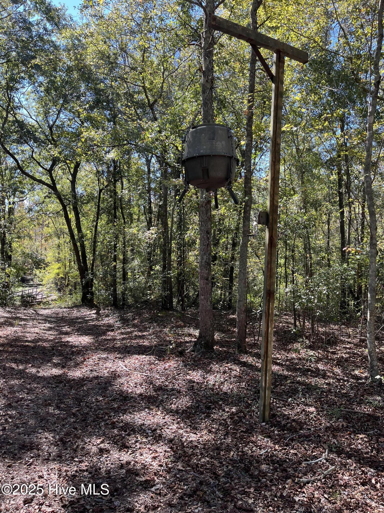 Off Hayne Stretch Road Autryville, NC 28318 - Photo 22 of 38 IMG_9317