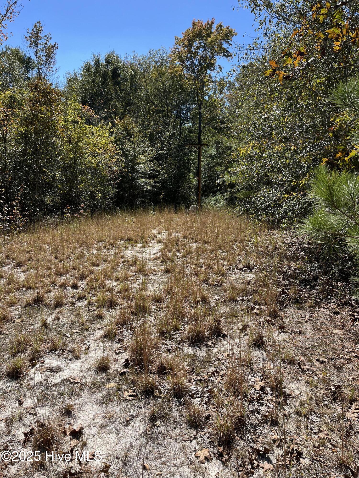Off Hayne Stretch Road Autryville, NC 28318 - Photo 28 of 38 IMG_9326
