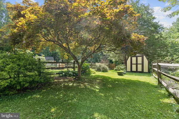 a view of a big yard with plants and large trees