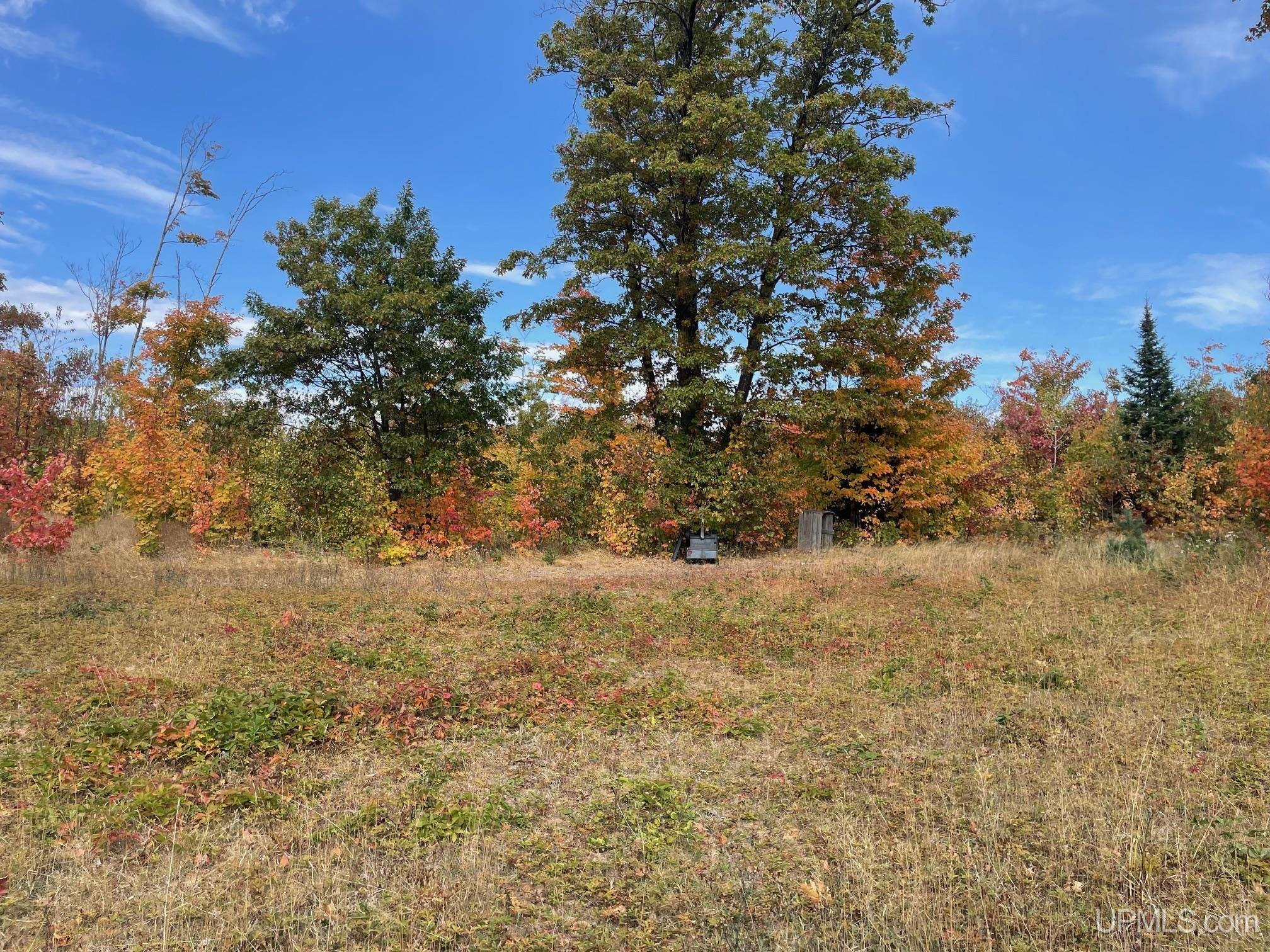 Tbd Gold Mine Lake Road Ishpeming, MI 49849 - Photo 2 of 10