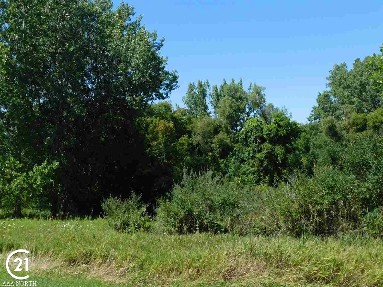 4212 Bishop Road Dryden, MI 48428 - Photo 35 of 38