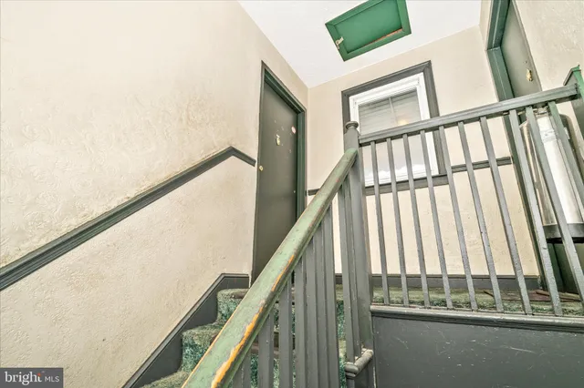 front view of a house with a tree