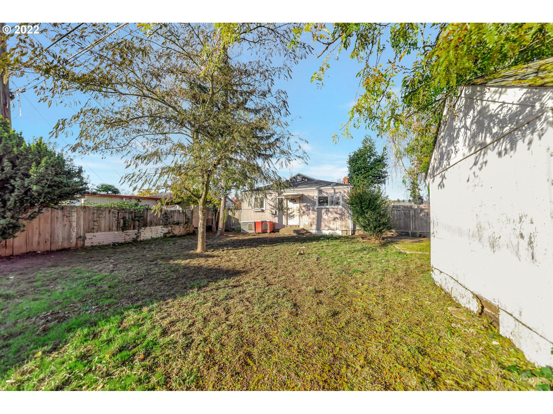 1849 H Street Springfield, OR 97477 - Photo 17 of 17 a view of a yard with a tree