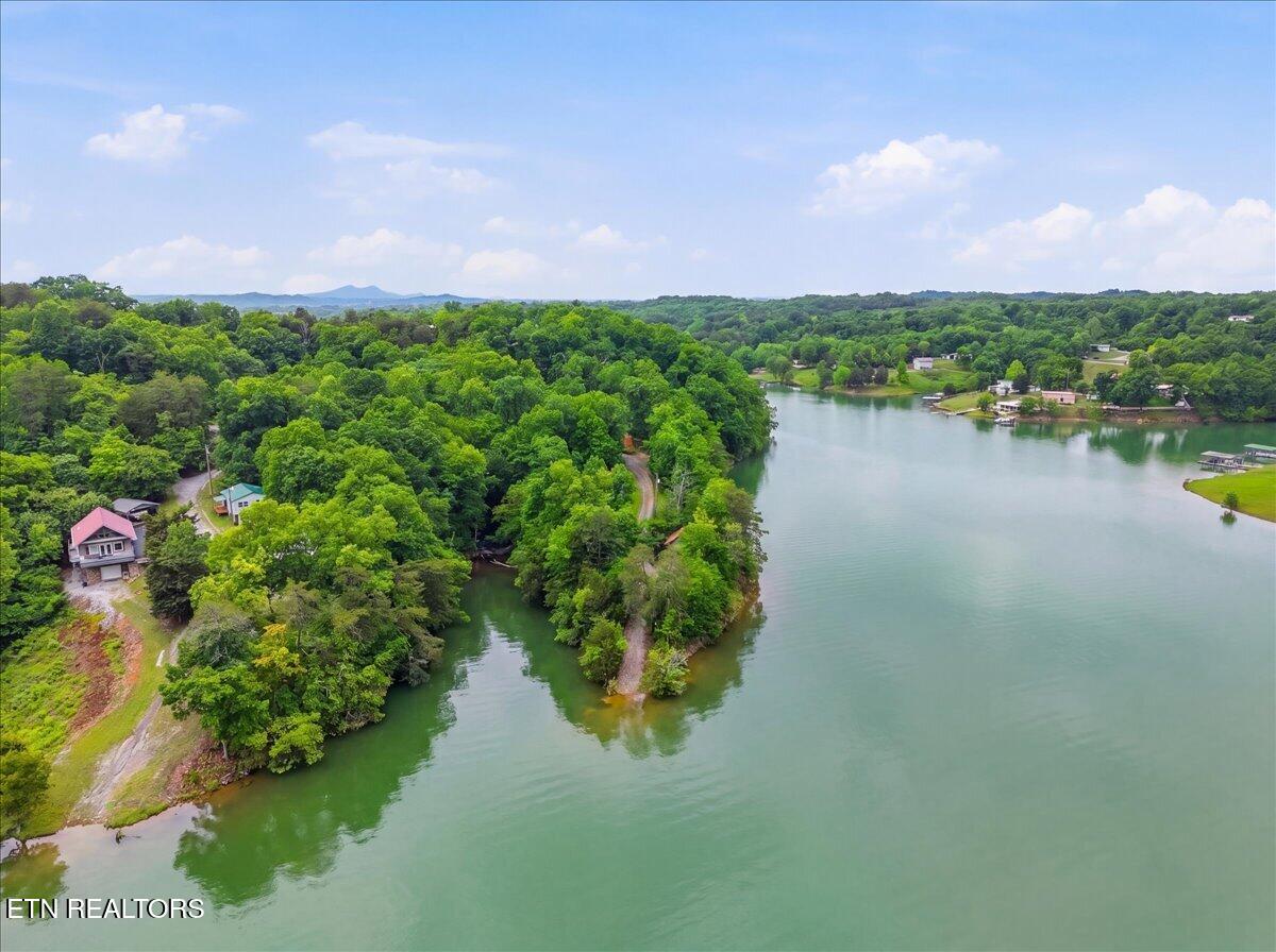 1670 Slover Springs Road Dandridge, TN 37725 - Photo 18 of 20 29-1670_Slover_Springs_Rd_Drone_005