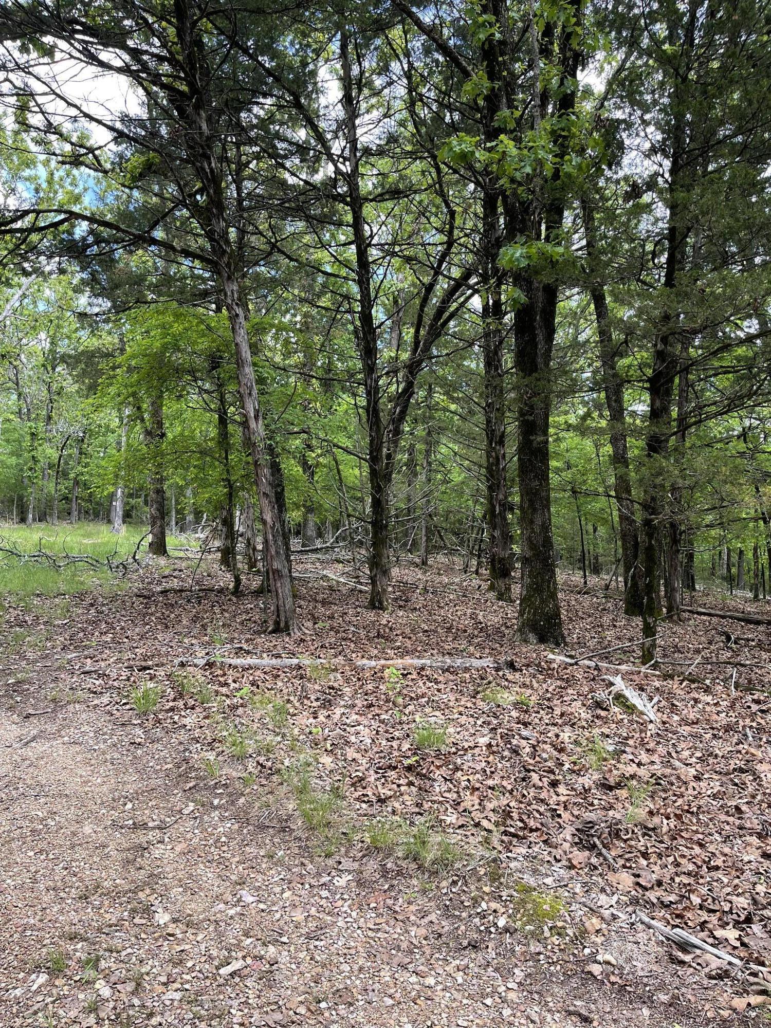 Lot 40-41 Timber Shoals Road Lead Hill, MO 72644 - Photo 5 of 26 Photo Apr 25 2026, 11 56 56
