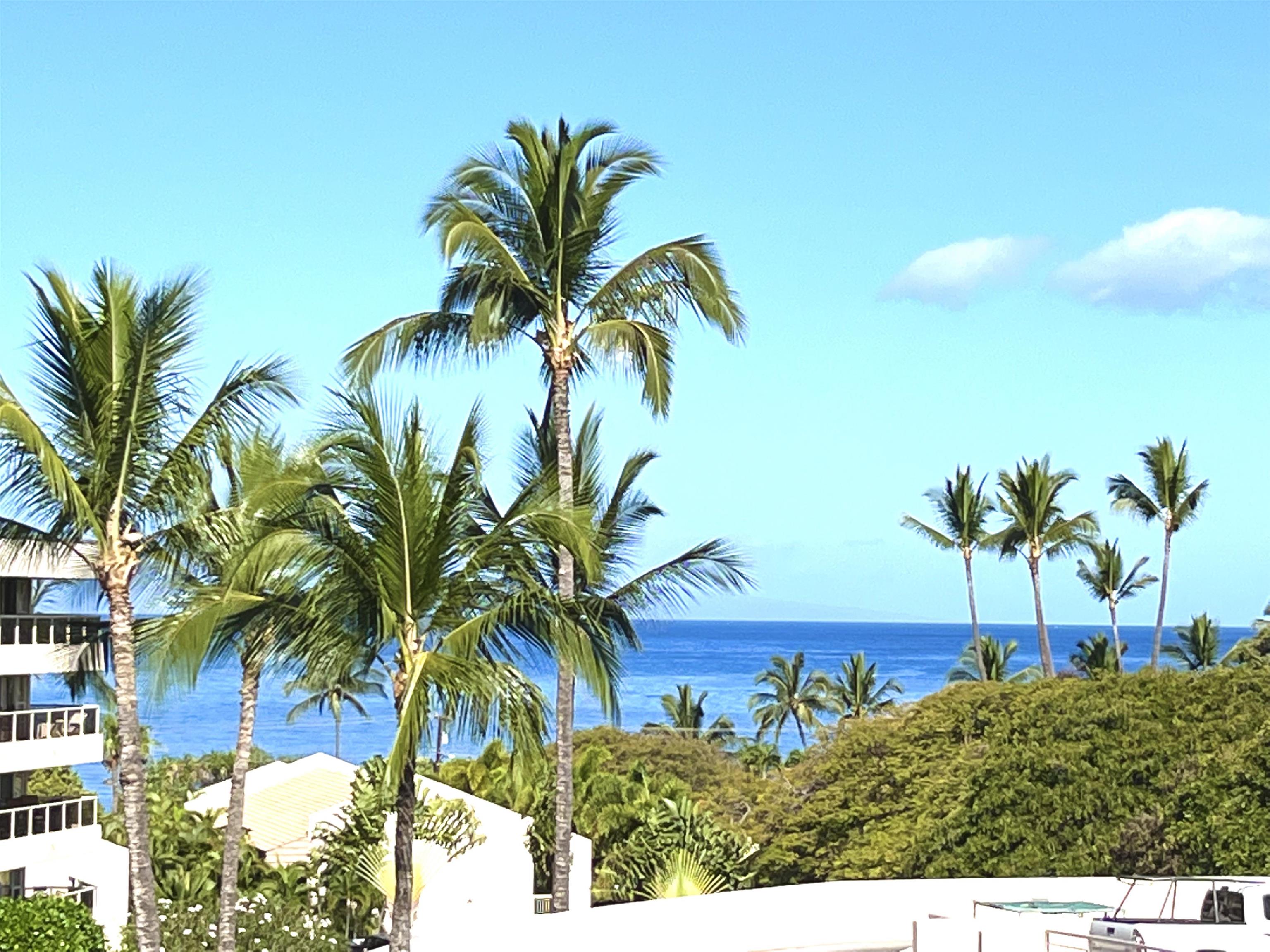 2575 South Kihei Road, Unit H414 Kihei, HI 96753 - Photo 1 of 30 a view of a palm tree