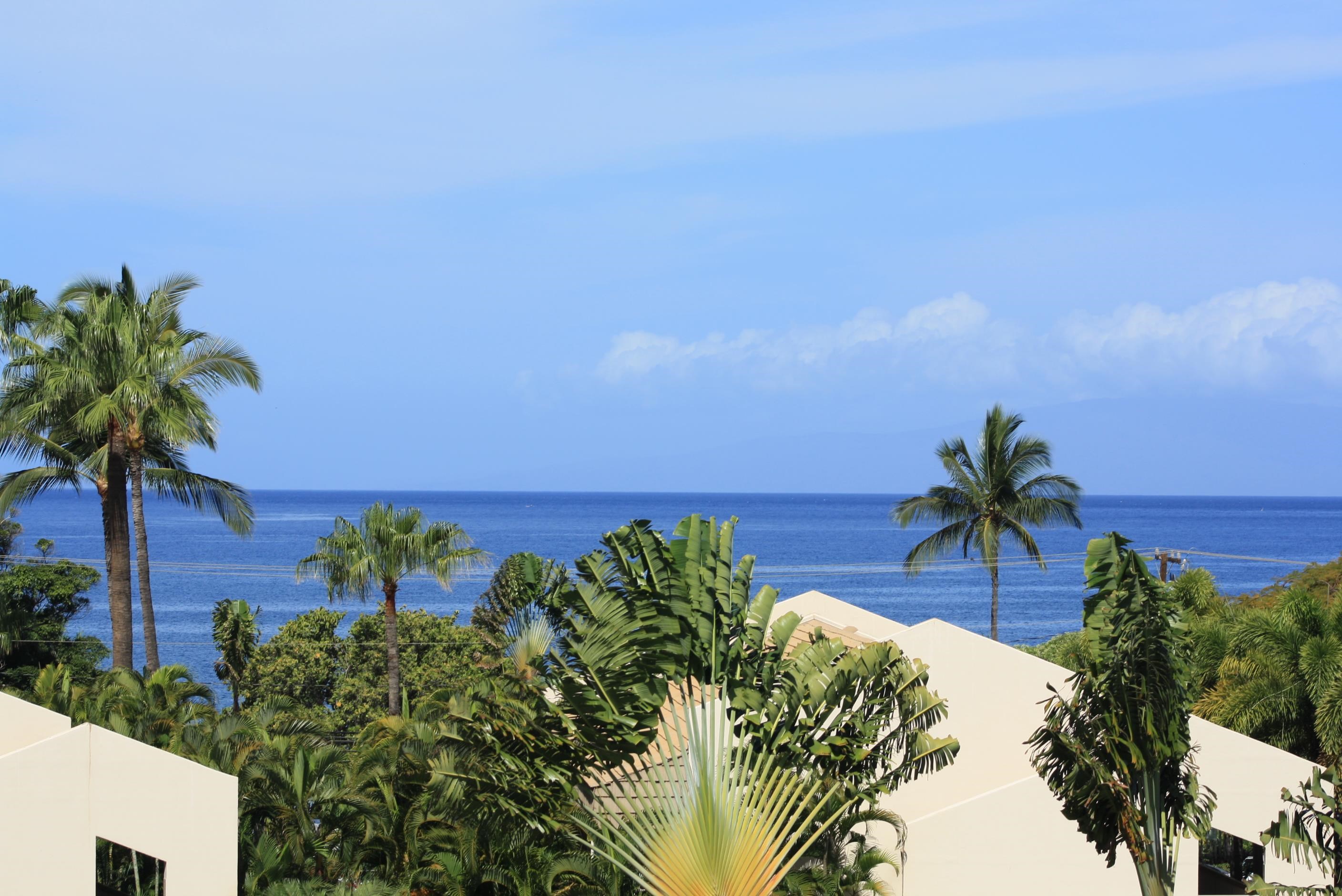 2575 South Kihei Road, Unit H414 Kihei, HI 96753 - Photo 23 of 30 a view of a flower in a garden