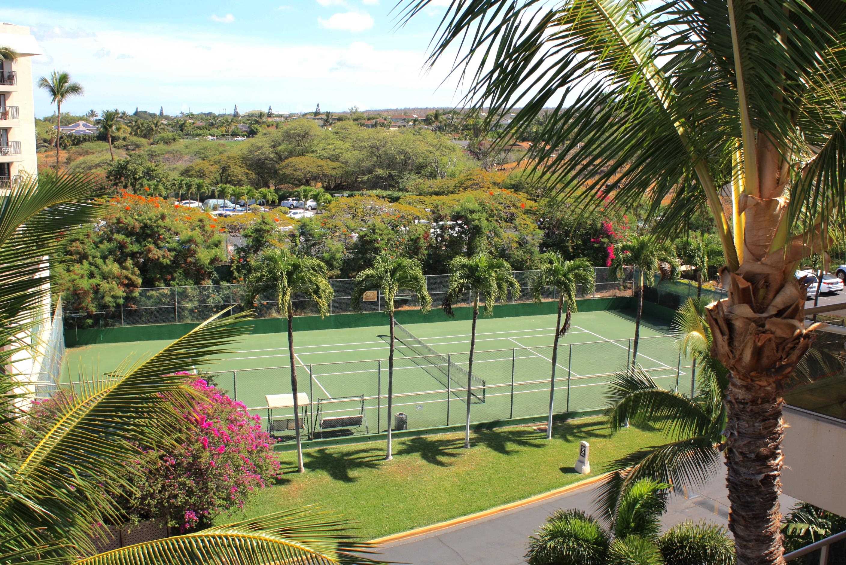 2575 South Kihei Road, Unit H414 Kihei, HI 96753 - Photo 25 of 30 a view of a garden with a lake