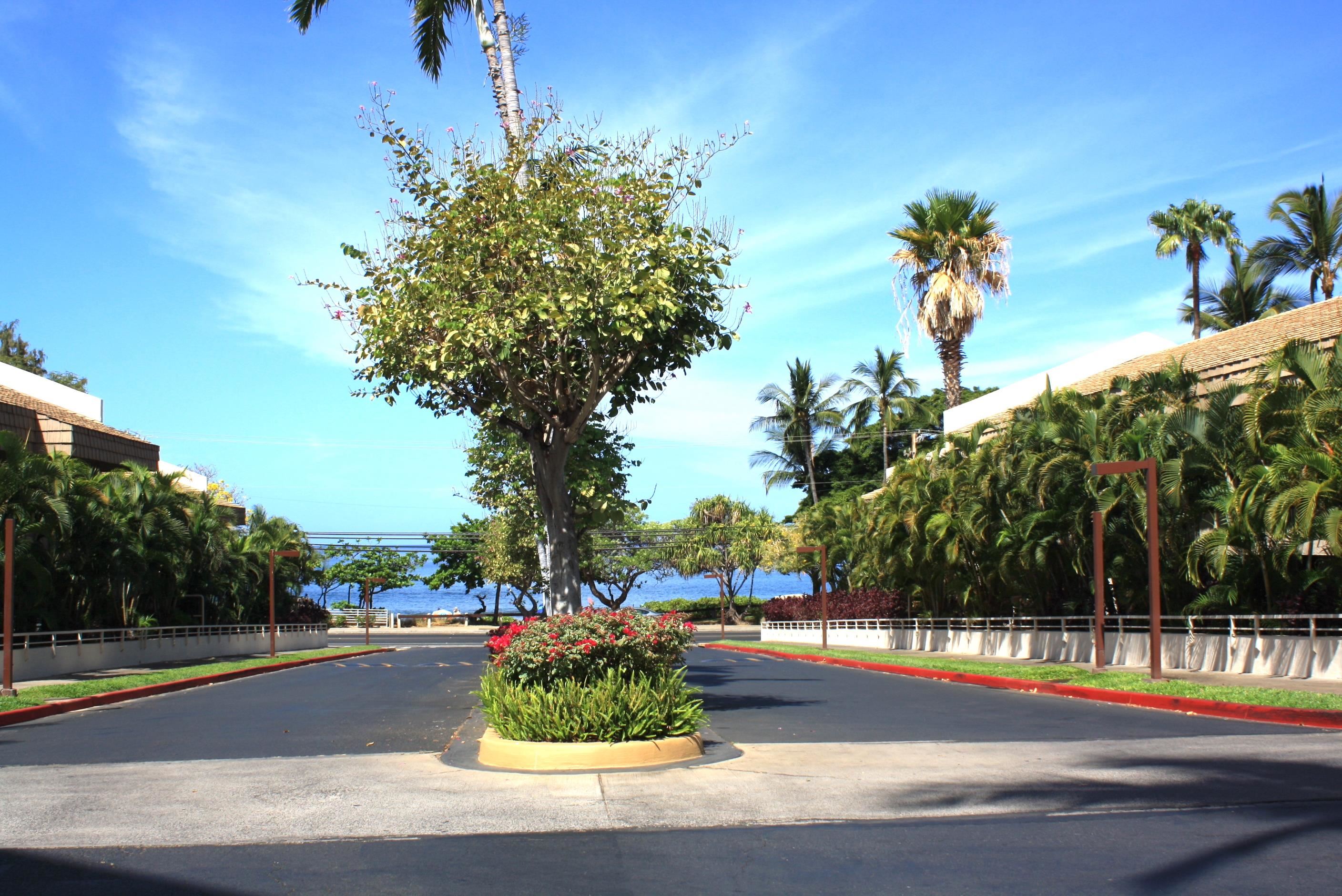 2575 South Kihei Road, Unit H414 Kihei, HI 96753 - Photo 28 of 30