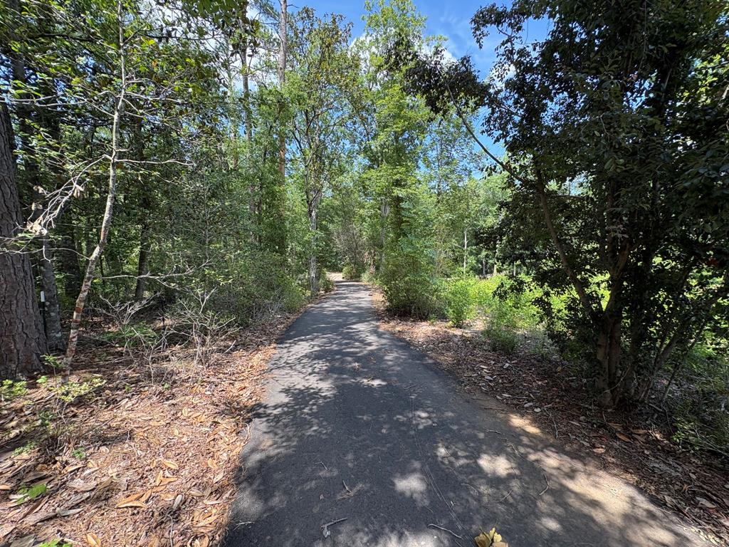 415 Quail Hollow Road Ozark, AL 36360 - Photo 59 of 62