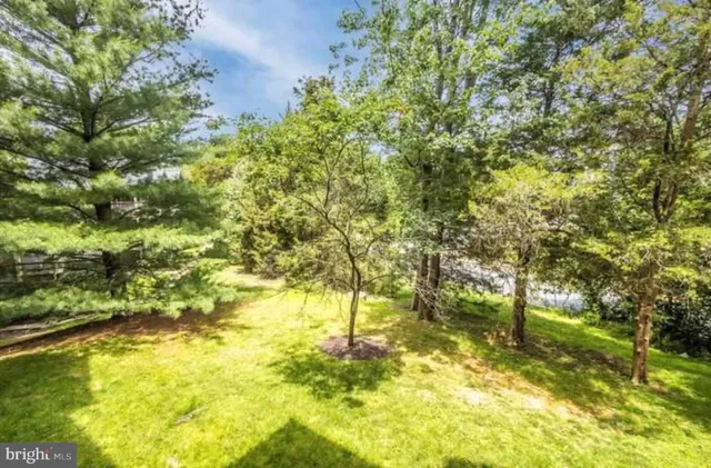 a view of yard with green space