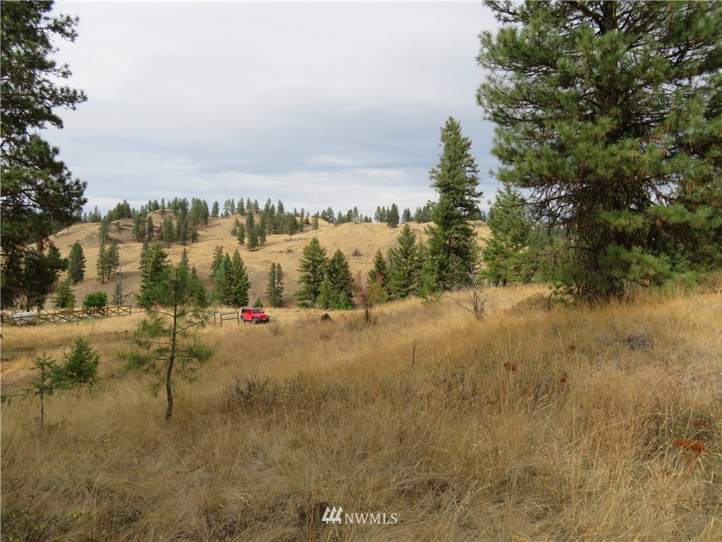 67 Sugar Loaf Road Curlew, WA 99118 - Photo 19 of 31 Gallery Image 19