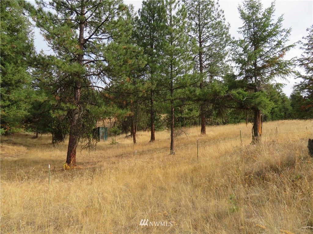 67 Sugar Loaf Road Curlew, WA 99118 - Photo 20 of 31 Gallery Image 20
