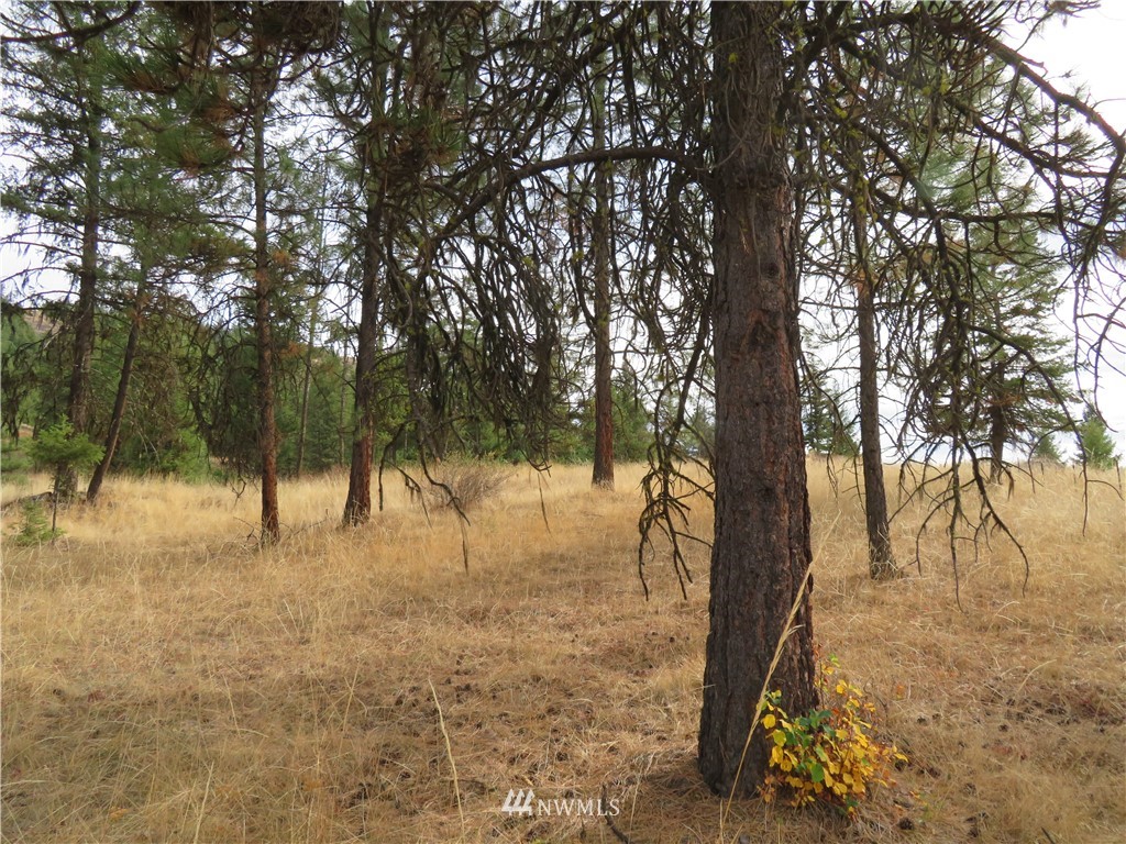 67 Sugar Loaf Road Curlew, WA 99118 - Photo 23 of 31 Gallery Image 23