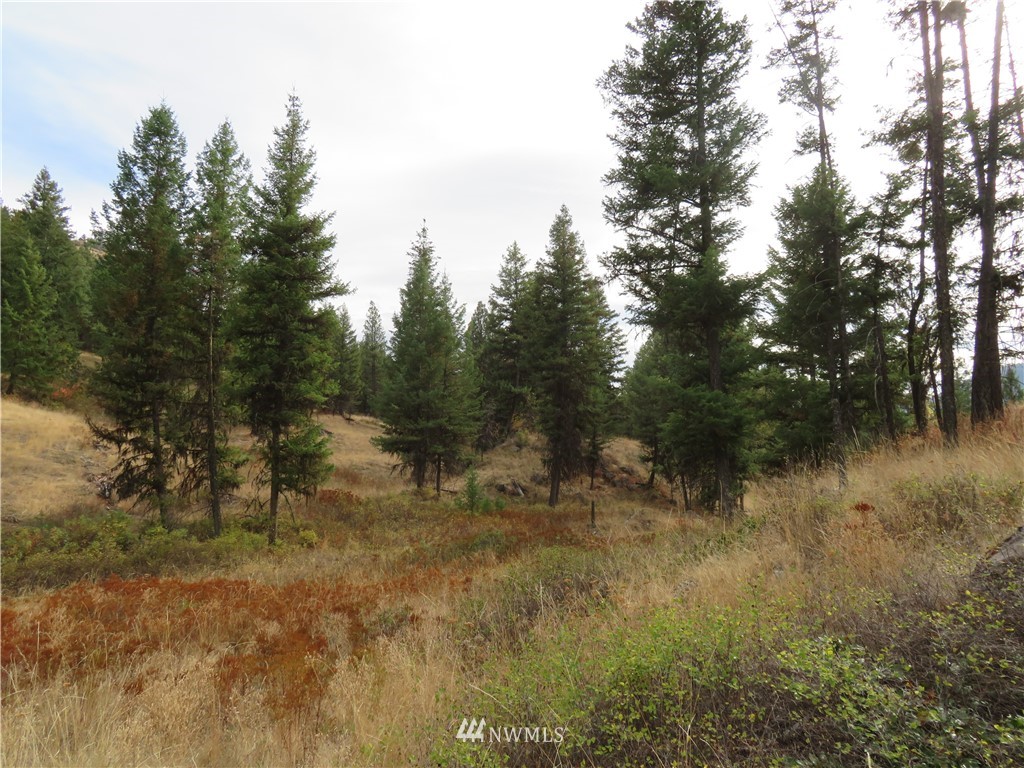 67 Sugar Loaf Road Curlew, WA 99118 - Photo 25 of 31 Gallery Image 25
