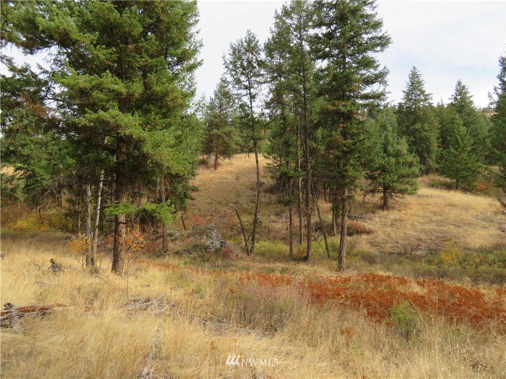 67 Sugar Loaf Road Curlew, WA 99118 - Photo 26 of 31 Gallery Image 26