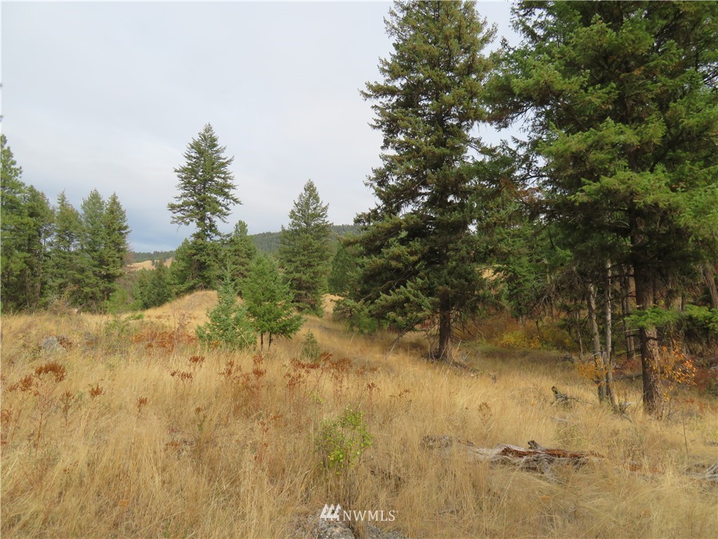 67 Sugar Loaf Road Curlew, WA 99118 - Photo 27 of 31 Gallery Image 27