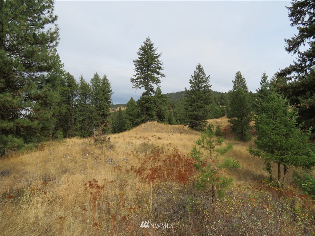 67 Sugar Loaf Road Curlew, WA 99118 - Photo 28 of 31 Gallery Image 28
