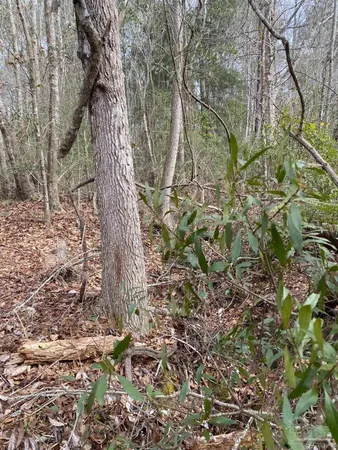 $875,000 | 0 Hwy 4 Jay, Jay, FL 32565